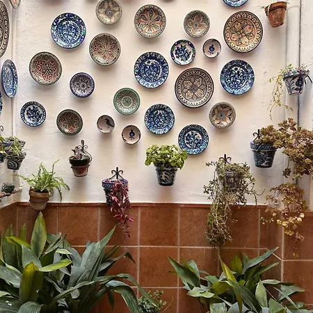 Casa 1919 Near Cathedral Atico With Private Terrace 아파트 그라나다