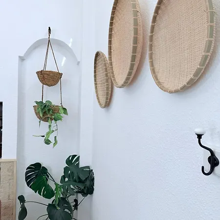 Apartamento Casa 1919 Near Cathedral Atico With Private Terrace