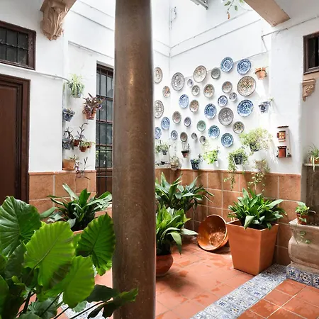 Appartement Top-floor Near Cathedral With Private Terrace - 3a