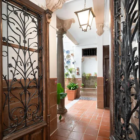 Top-floor Near Cathedral With Private Terrace - 3a * גרנדה
